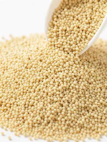 Roher Amaranth mit winzigen gelblichen Körnern in Keramikschale